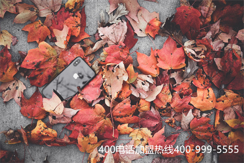 (400電話資費)(營口400電話選號資費標準)