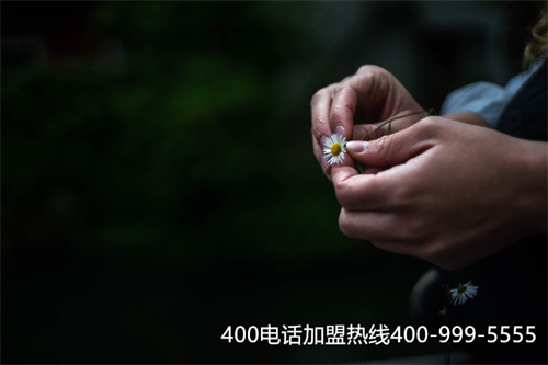 (400電話(huà)收費(fèi)標(biāo)準(zhǔn))(400電話(huà)分類(lèi)以及套餐選擇事項(xiàng))