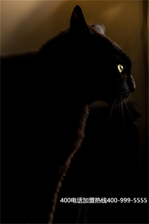 (400電話主叫收費嗎)(鐵通400電話接聽免費嗎)